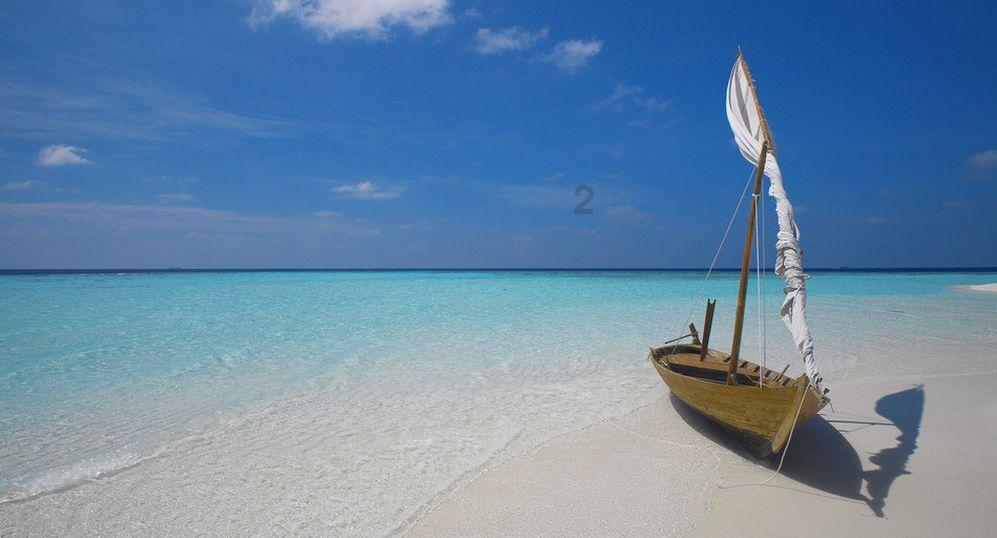 救援深海动物